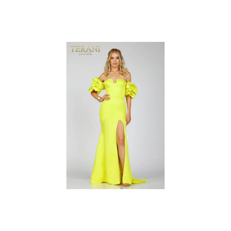 Terani Style 231P0181