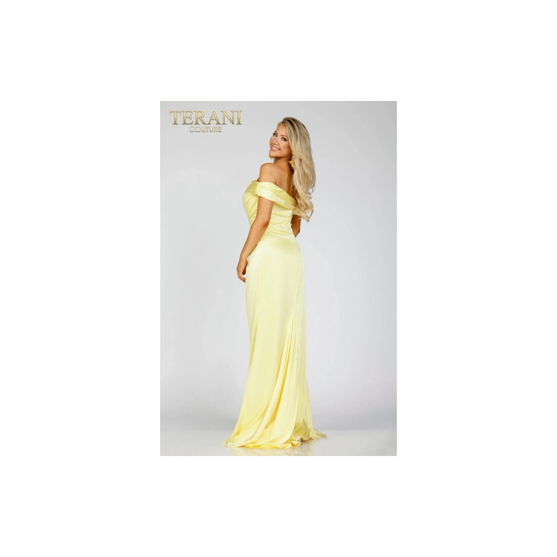 Terani Style 231P0541