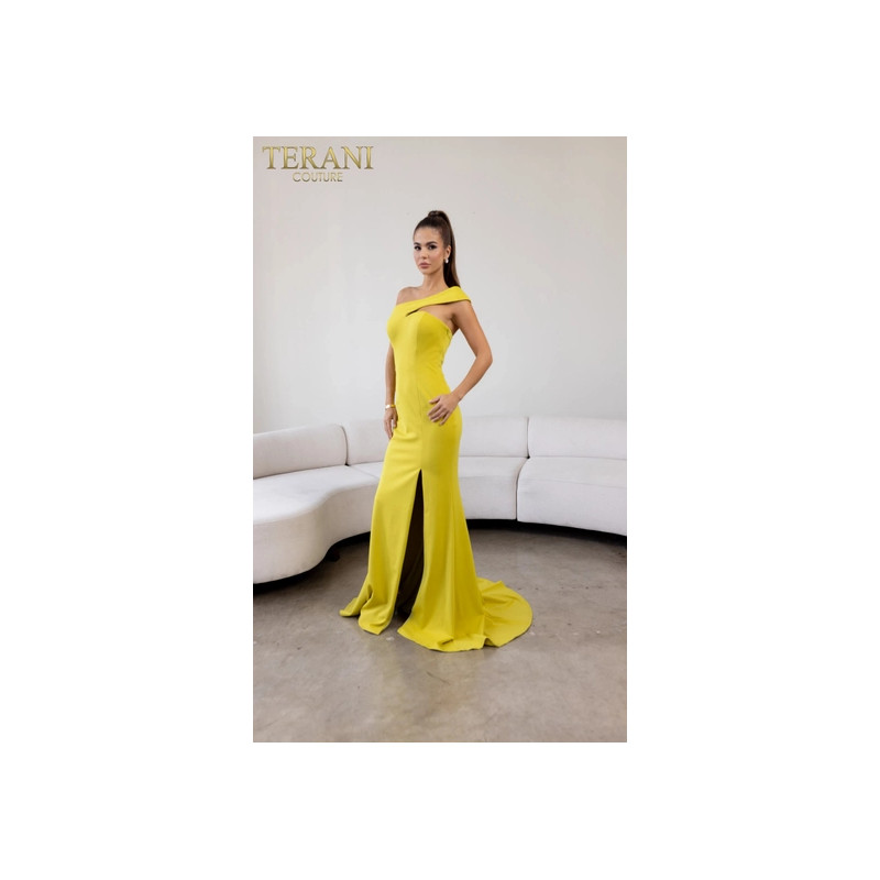 Terani Style 241E2416