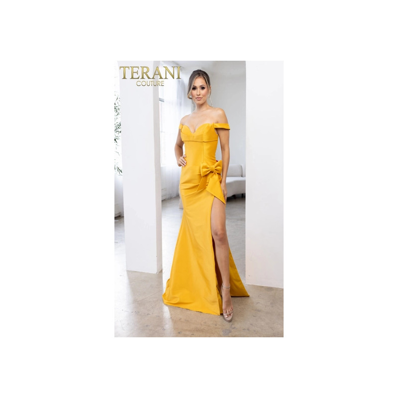 Terani Style 241P2017