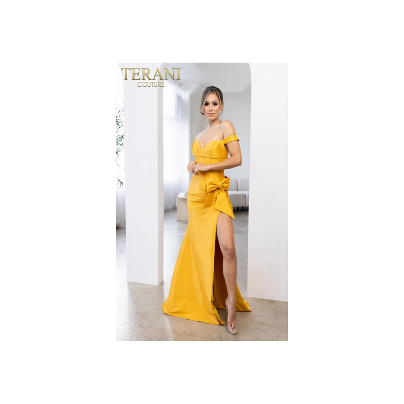 Terani Style 241P2017