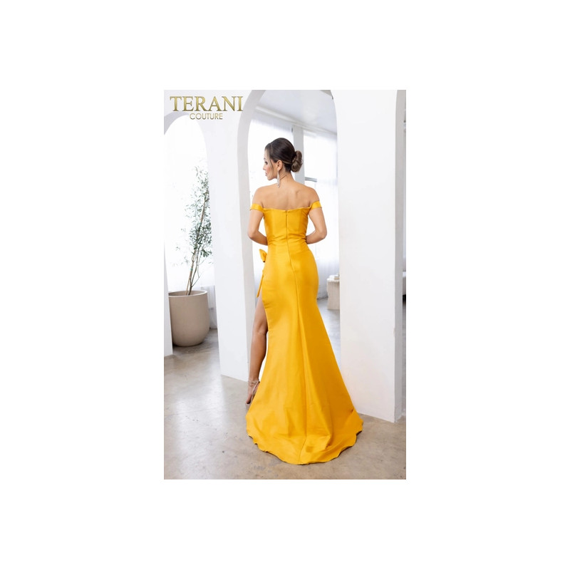 Terani Style 241P2017