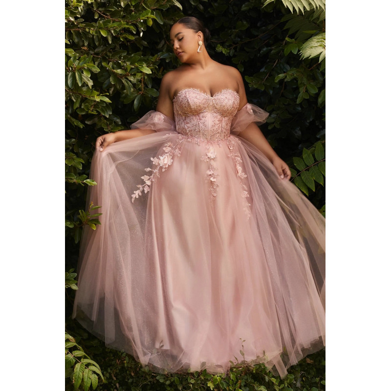 Ladivine by Cinderella Divine Style CD0191C